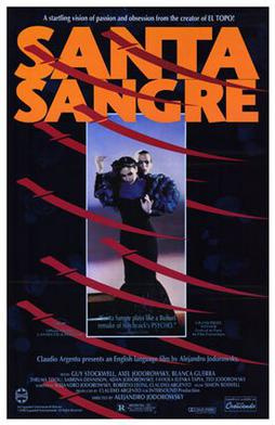 Santa Sangre (1989) - Movies You Would Like to Watch If You Like the Perfection (2018)